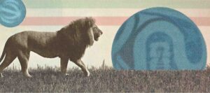 Header: Football Forfeits Its Common Ground